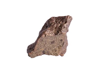 Martian Meteorite