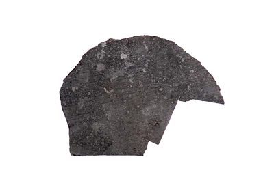 Allende Meteorite